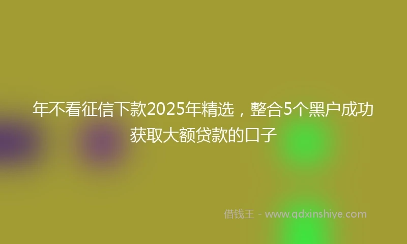 年不看征信下款2025年精选，整合5个黑户成功获取大额贷款的口子