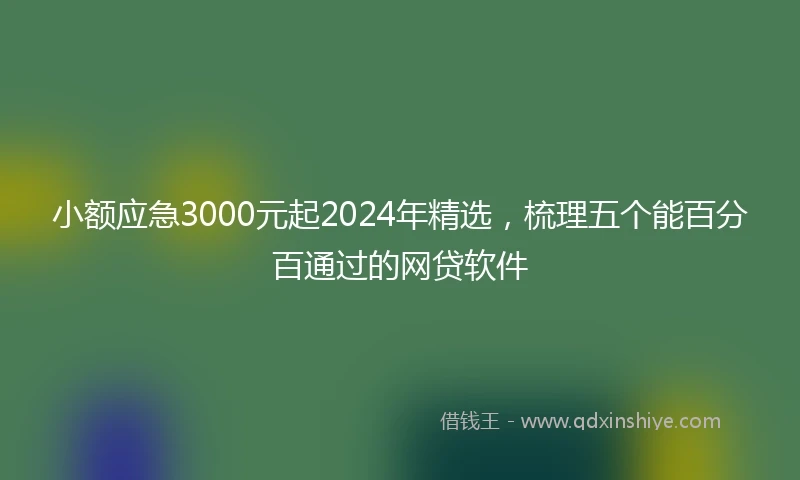小额应急3000元起2024年精选，梳理五个能百分百通过的网贷软件