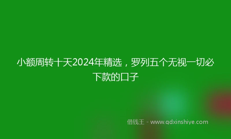 小额周转十天2024年精选，罗列五个无视一切必下款的口子