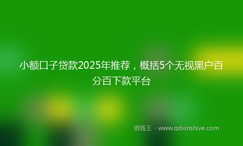 小额口子贷款2025年推荐，概括5个无视黑户百分百下款平台