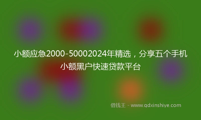 小额应急2000-50002024年精选，分享五个手机小额黑户快速贷款平台