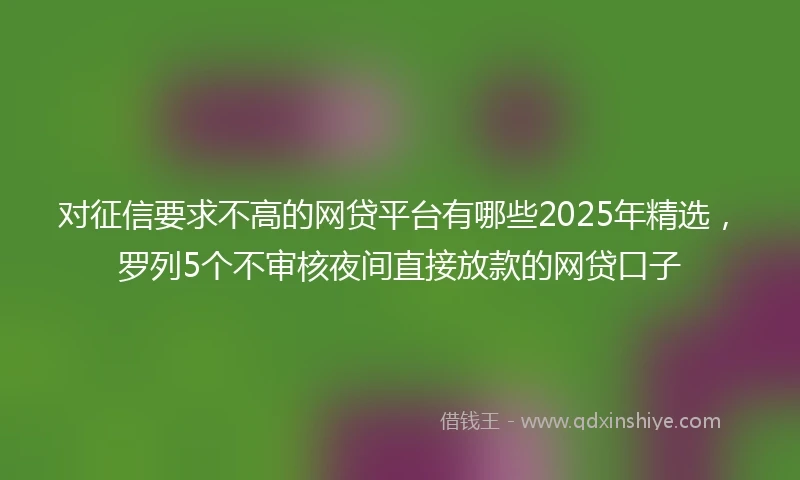 对征信要求不高的网贷平台有哪些2025年精选，罗列5个不审核夜间直接放款的网贷口子