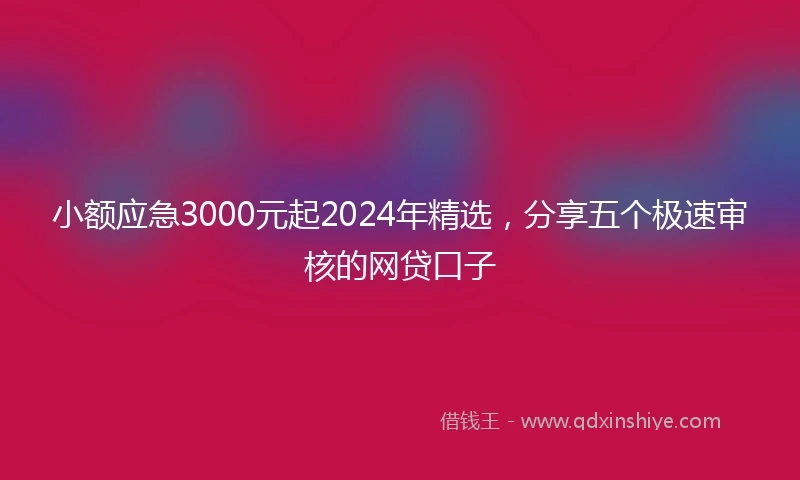 小额应急3000元起2024年精选，分享五个极速审核的网贷口子