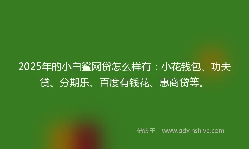 2025年的小白鲨网贷怎么样有:小花钱包、功夫贷、分期乐、百度有钱花、惠商贷等。