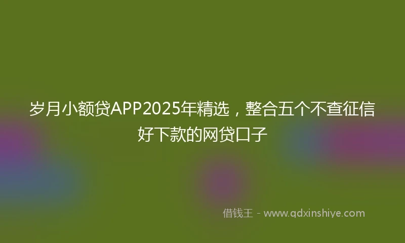 岁月小额贷APP2025年精选，整合五个不查征信好下款的网贷口子