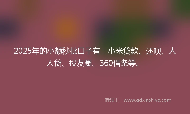 2025年的小额秒批口子有：小米贷款、还呗、人人贷、投友圈、360借条等。