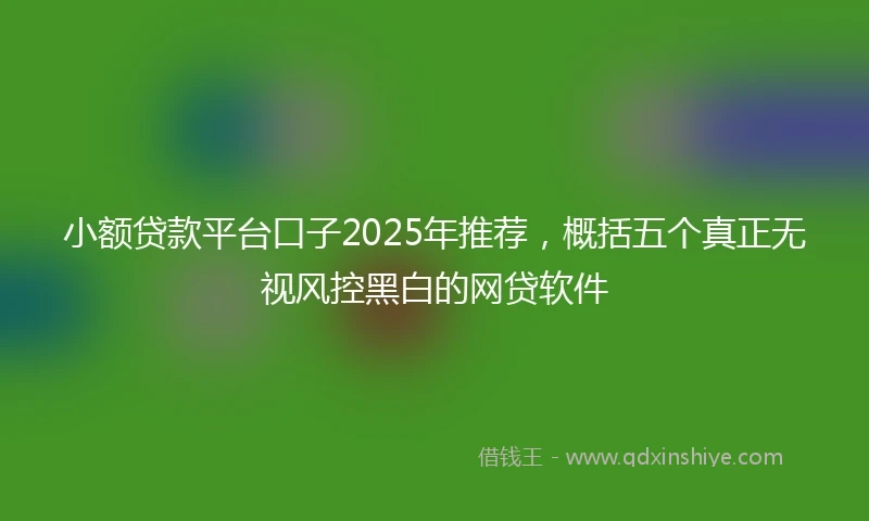 小额贷款平台口子2025年推荐，概括五个真正无视风控黑白的网贷软件