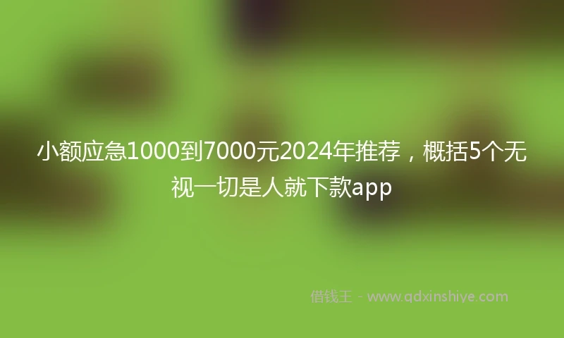 小额应急1000到7000元2024年推荐，概括5个无视一切是人就下款app