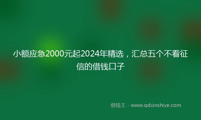 小额应急2000元起2024年精选，汇总五个不看征信的借钱口子