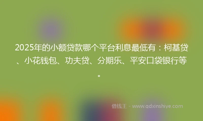 2025年的小额贷款哪个平台利息最低有：柯基贷、小花钱包、功夫贷、分期乐、平安口袋银行等。