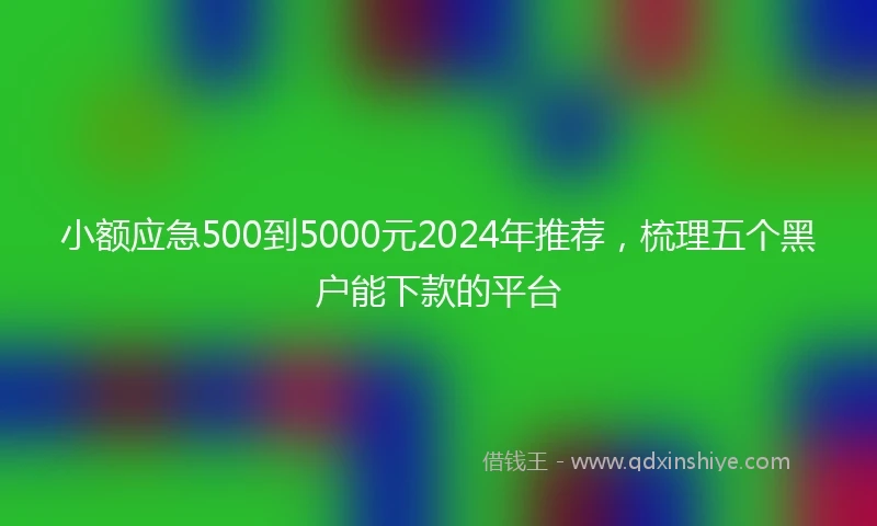 小额应急500到5000元2024年推荐，梳理五个黑户能下款的平台