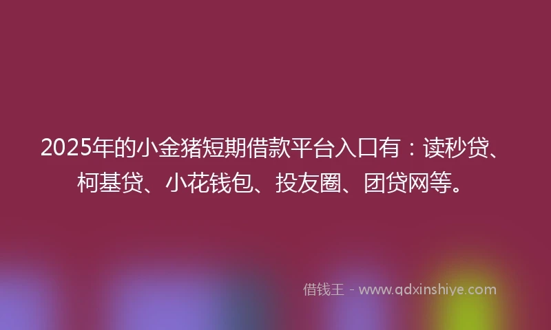 2025年的小金猪短期借款平台入口有：读秒贷、柯基贷、小花钱包、投友圈、团贷网等。