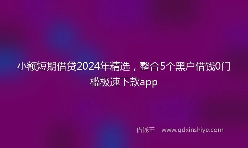 小额短期借贷2024年精选，整合5个黑户借钱0门槛极速下款app