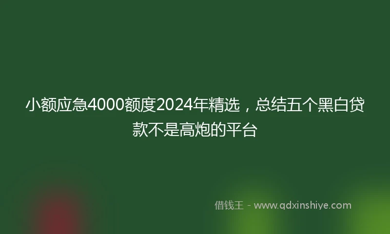 小额应急4000额度2024年精选，总结五个黑白贷款不是高炮的平台