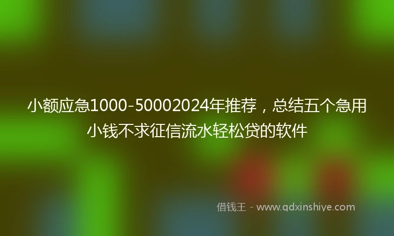 小额应急1000-50002024年推荐，总结五个急用小钱不求征信流水轻松贷的软件