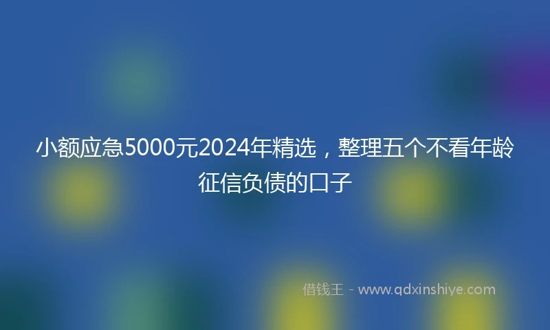 小额应急5000元2024年精选，整理五个不看年龄征信负债的口子