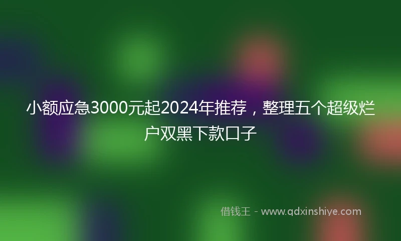 小额应急3000元起2024年推荐,整理五个超级烂户双黑下款口子