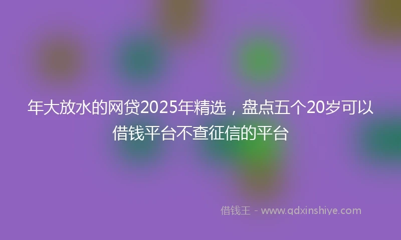 年大放水的网贷2025年精选，盘点五个20岁可以借钱平台不查征信的平台
