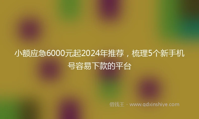 小额应急6000元起2024年推荐，梳理5个新手机号容易下款的平台
