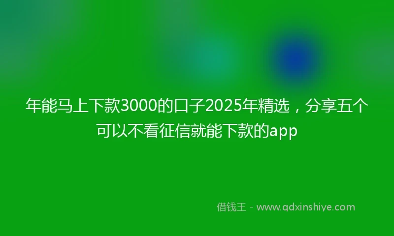 年能马上下款3000的口子2025年精选，分享五个可以不看征信就能下款的app