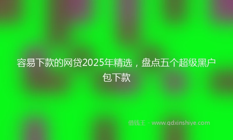 容易下款的网贷2025年精选，盘点五个超级黑户包下款