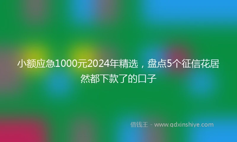 小额应急1000元2024年精选，盘点5个征信花居然都下款了的口子