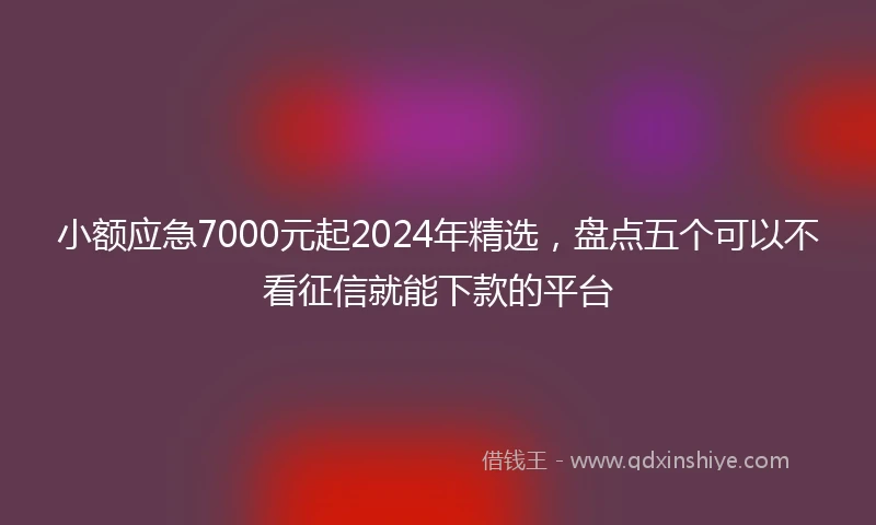 小额应急7000元起2024年精选，盘点五个可以不看征信就能下款的平台