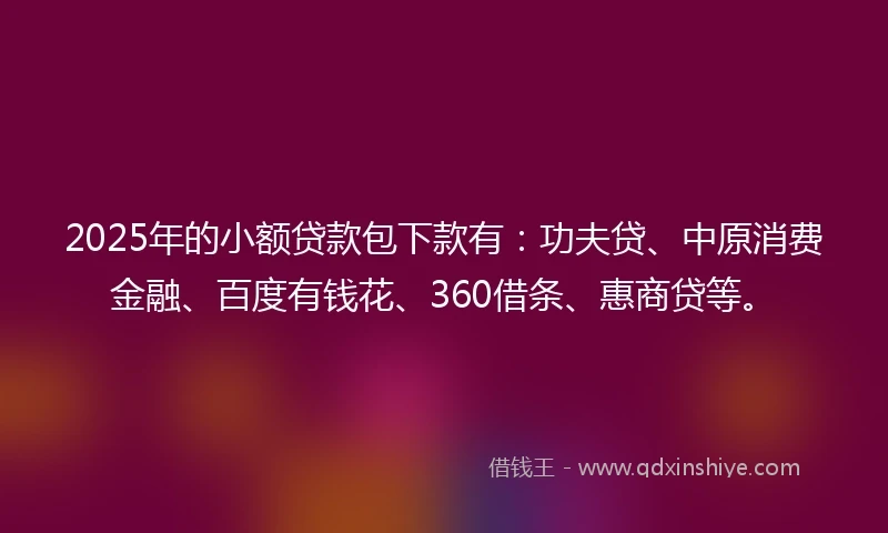 2025年的小额贷款包下款有：功夫贷、中原消费金融、百度有钱花、360借条、惠商贷等。