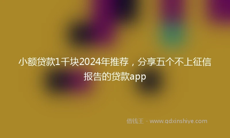 小额贷款1千块2024年推荐，分享五个不上征信报告的贷款app