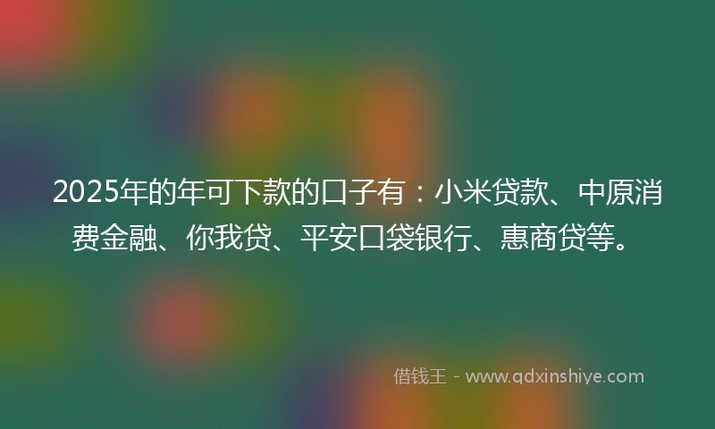 2025年的年可下款的口子有：小米贷款、中原消费金融、你我贷、平安口袋银行、惠商贷等。