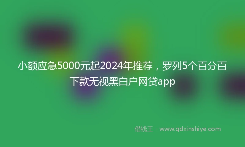 小额应急5000元起2024年推荐，罗列5个百分百下款无视黑白户网贷app