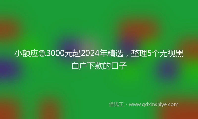 小额应急3000元起2024年精选，整理5个无视黑白户下款的口子