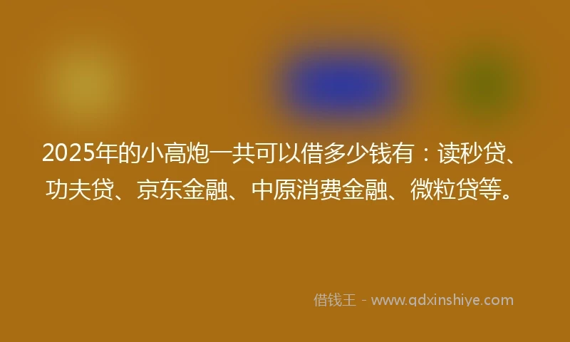 2025年的小高炮一共可以借多少钱有：读秒贷、功夫贷、京东金融、中原消费金融、微粒贷等。