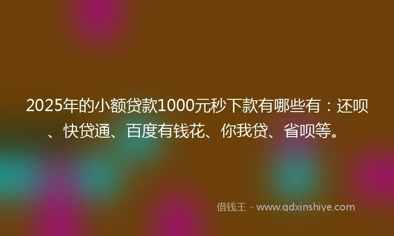 2025年的小额贷款1000元秒下款有哪些有：还呗、快贷通、百度有钱花、你我贷、省呗等。