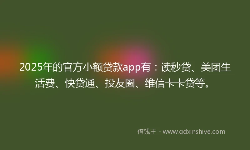 2025年的官方小额贷款app有：读秒贷、美团生活费、快贷通、投友圈、维信卡卡贷等。