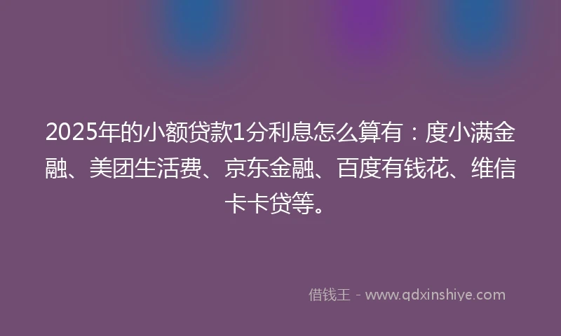 2025年的小额贷款1分利息怎么算有：度小满金融、美团生活费、京东金融、百度有钱花、维信卡卡贷等。