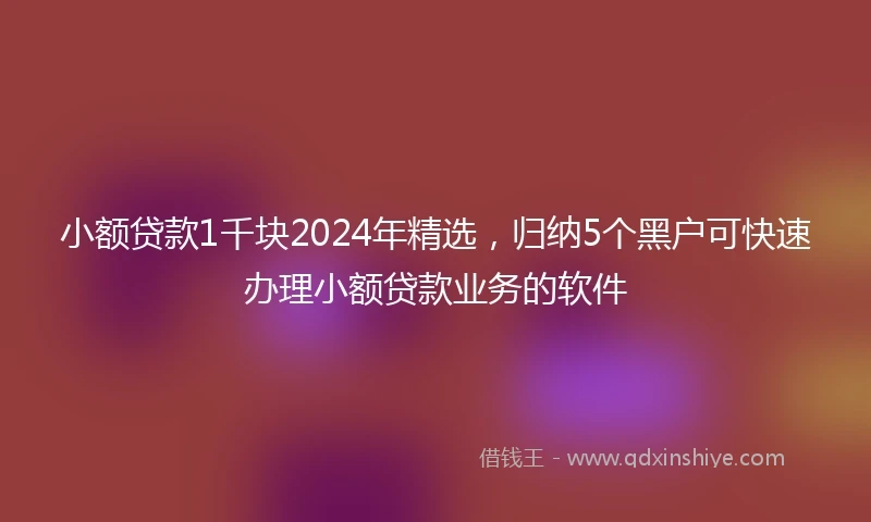 小额贷款1千块2024年精选，归纳5个黑户可快速办理小额贷款业务的软件