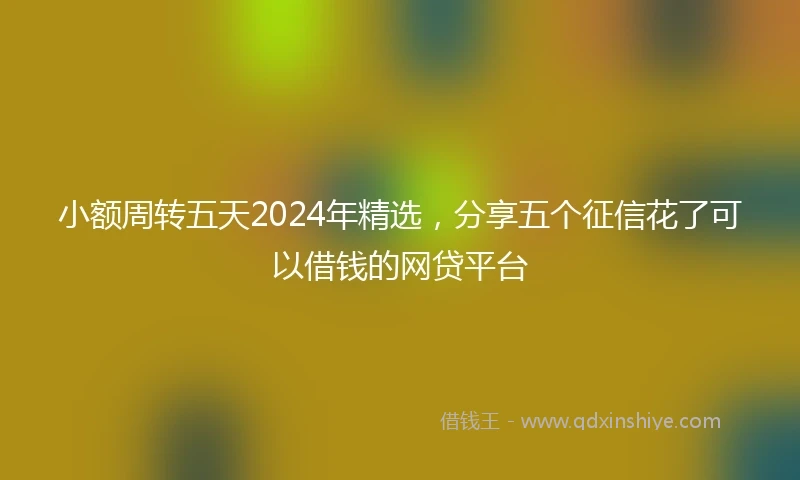 小额周转五天2024年精选，分享五个征信花了可以借钱的网贷平台