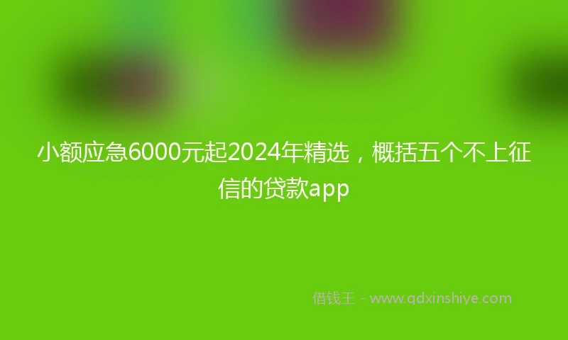 小额应急6000元起2024年精选，概括五个不上征信的贷款app