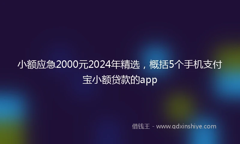 小额应急2000元2024年精选，概括5个手机支付宝小额贷款的app