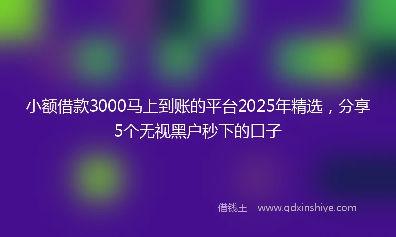 小额借款3000马上到账的平台2025年精选，分享5个无视黑户秒下的口子