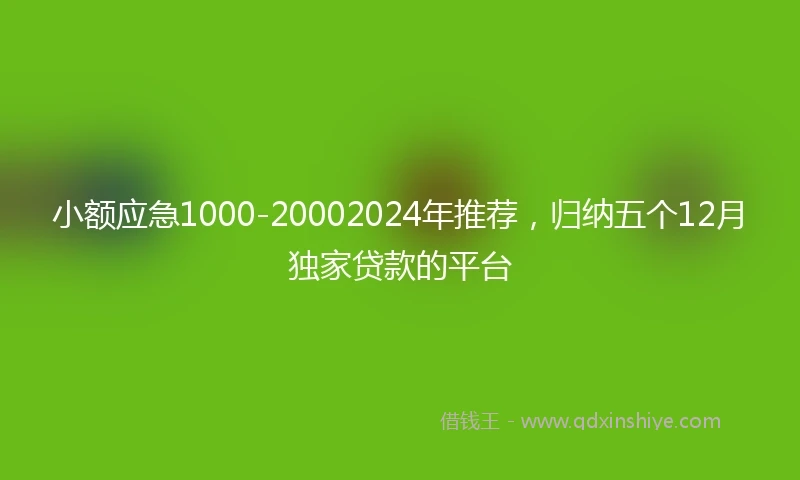 小额应急1000-20002024年推荐，归纳五个12月独家贷款的平台
