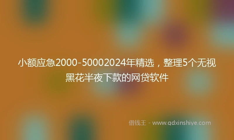 小额应急2000-50002024年精选，整理5个无视黑花半夜下款的网贷软件