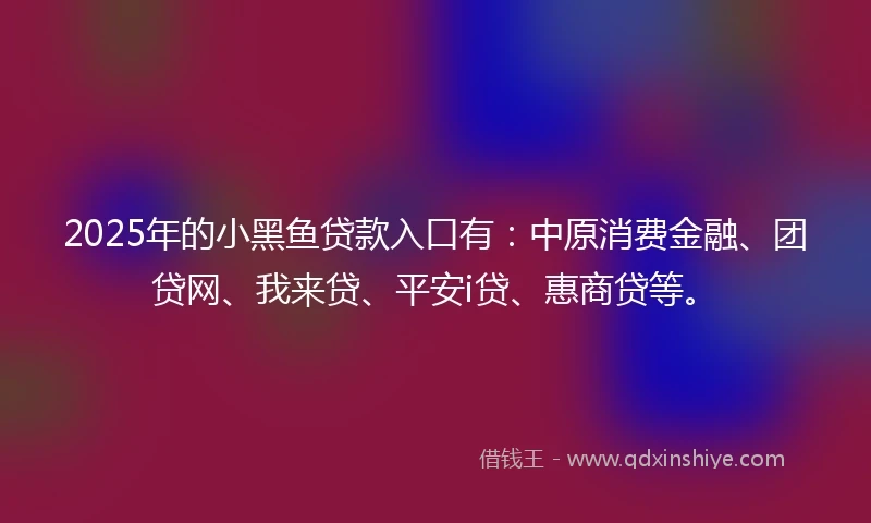 2025年的小黑鱼贷款入口有:中原消费金融、团贷网、我来贷、平安i贷、惠商贷等。