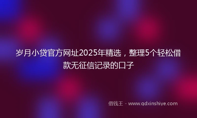 岁月小贷官方网址2025年精选，整理5个轻松借款无征信记录的口子