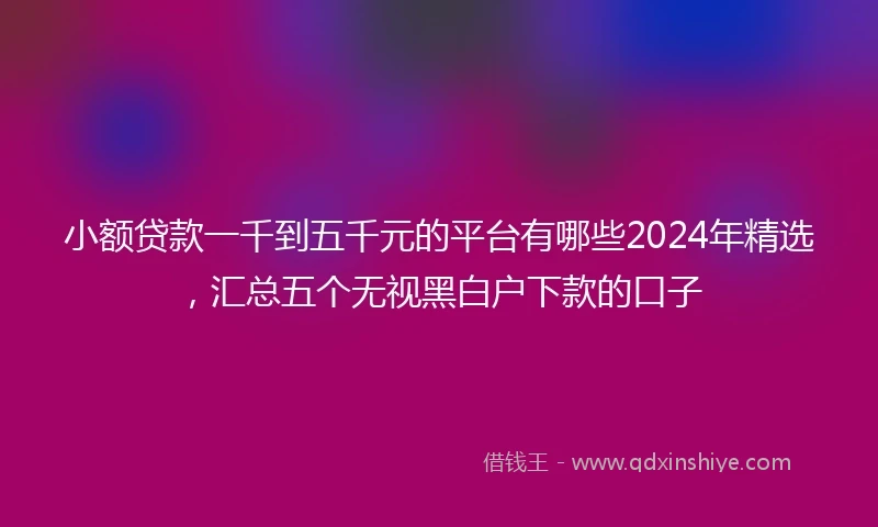 小额贷款一千到五千元的平台有哪些2024年精选，汇总五个无视黑白户下款的口子