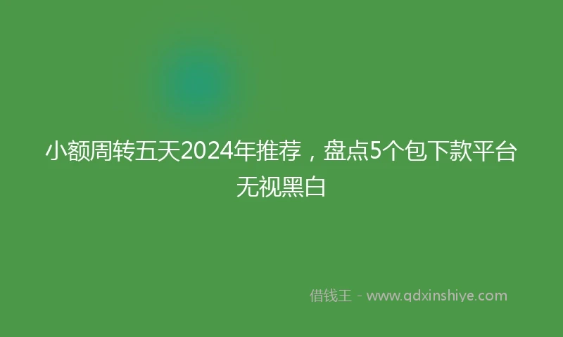 小额周转五天2024年推荐，盘点5个包下款平台无视黑白