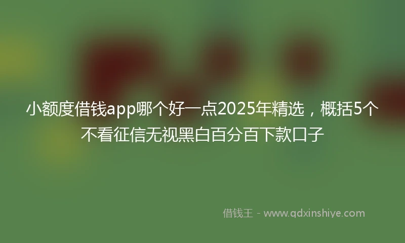 小额度借钱app哪个好一点2025年精选，概括5个不看征信无视黑白百分百下款口子