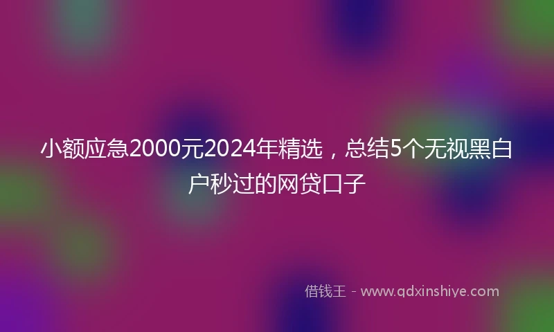 小额应急2000元2024年精选，总结5个无视黑白户秒过的网贷口子