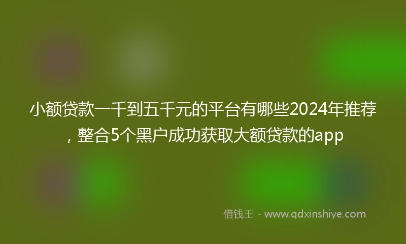 小额贷款一千到五千元的平台有哪些2024年推荐，整合5个黑户成功获取大额贷款的app